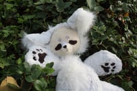 Image 4 of WILBUR WOLF