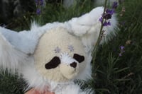 Image 6 of WILBUR WOLF