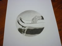 Image 2 of "Belle de jour" (6)