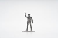 Image 3 of Zinnpazifist:in Peace