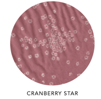 Image 9 of Cranberry Star Quilt