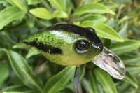 Image 6 of Custom Airbrushed Crankbait 6374