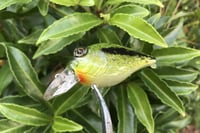 Image 7 of Custom Airbrushed Crankbait 6374