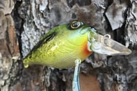 Image 9 of Custom Airbrushed Crankbait 6374