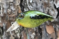 Image 13 of Custom Airbrushed Crankbait 6374