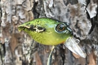 Image 15 of Custom Airbrushed Crankbait 6374