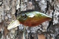 Image 4 of  Custom Airbrushed Crankbait 6419
