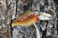 Image 6 of  Custom Airbrushed Crankbait 6419