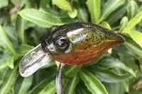 Image 11 of  Custom Airbrushed Crankbait 6419