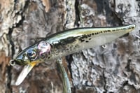 Image 5 of Custom Airbrushed Jerkbait TA 110 6455