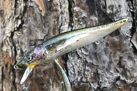 Image 6 of Custom Airbrushed Jerkbait TA 110 6455