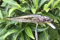 Image 13 of Custom Airbrushed Jerkbait TA 110 6455