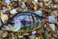 Image 3 of Custom Airbrushed Glide Bait 6746