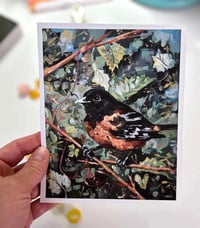 Fundraising PRINT of "Branching Out" - a sweet oriole portrait