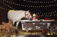 Image 2 of {Cowboy Christmas Minis} Saturday, November 22nd