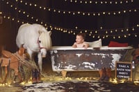 Image 4 of {Cowboy Christmas Minis} Saturday, November 22nd