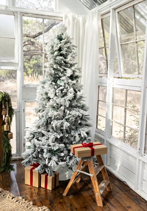 Image of Glasshouse Christmas- NOV 14TH