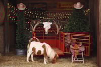 Image 1 of {Cowboy Trailer Minis} Saturday, November 15th