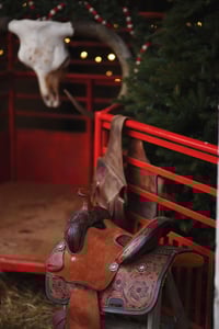 Image 3 of {Cowboy Trailer Minis} Saturday, November 15th