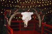 Image 5 of {Cowboy Trailer Minis} Saturday, November 15th