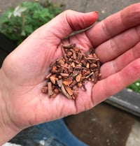 Image 4 of Wish - Madder