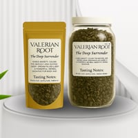 YARROW - Wound Healer & Warrior