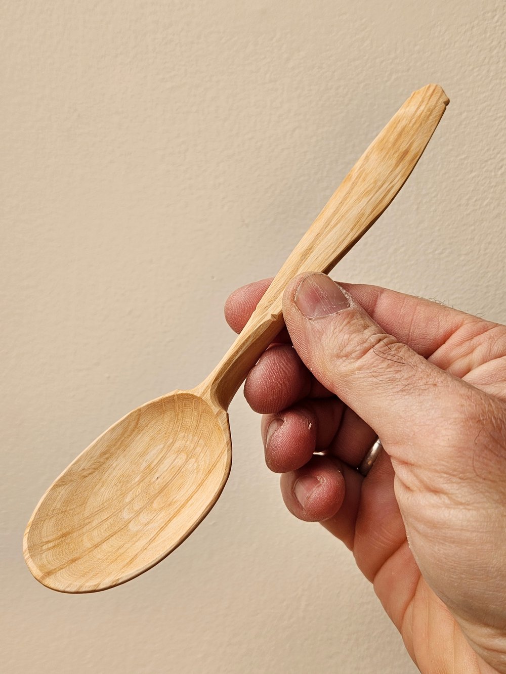 Image of She-oak eating soulspoon 