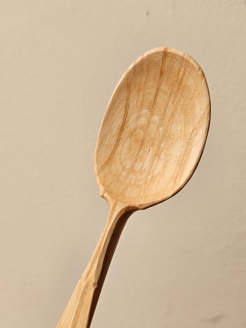 Image of She-oak eating soulspoon 