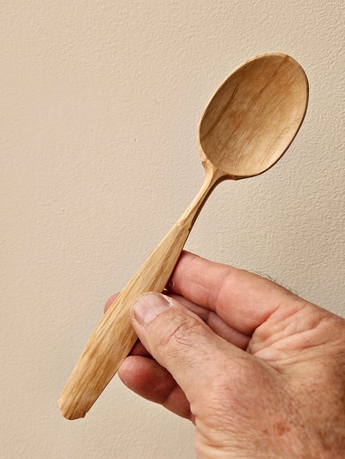 Image of She-oak eating soulspoon 