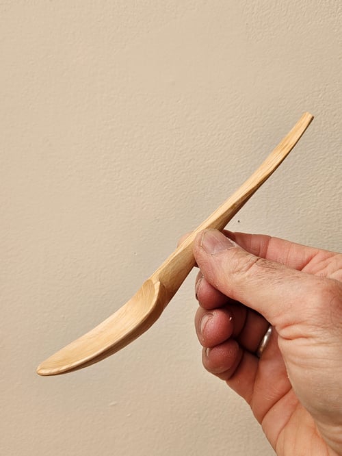 Image of She-oak eating soulspoon 