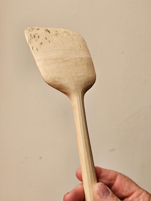 Image of Sycamore Lady Beetle Spatula