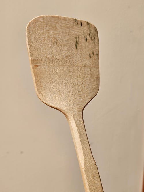 Image of Sycamore Lady Beetle Spatula