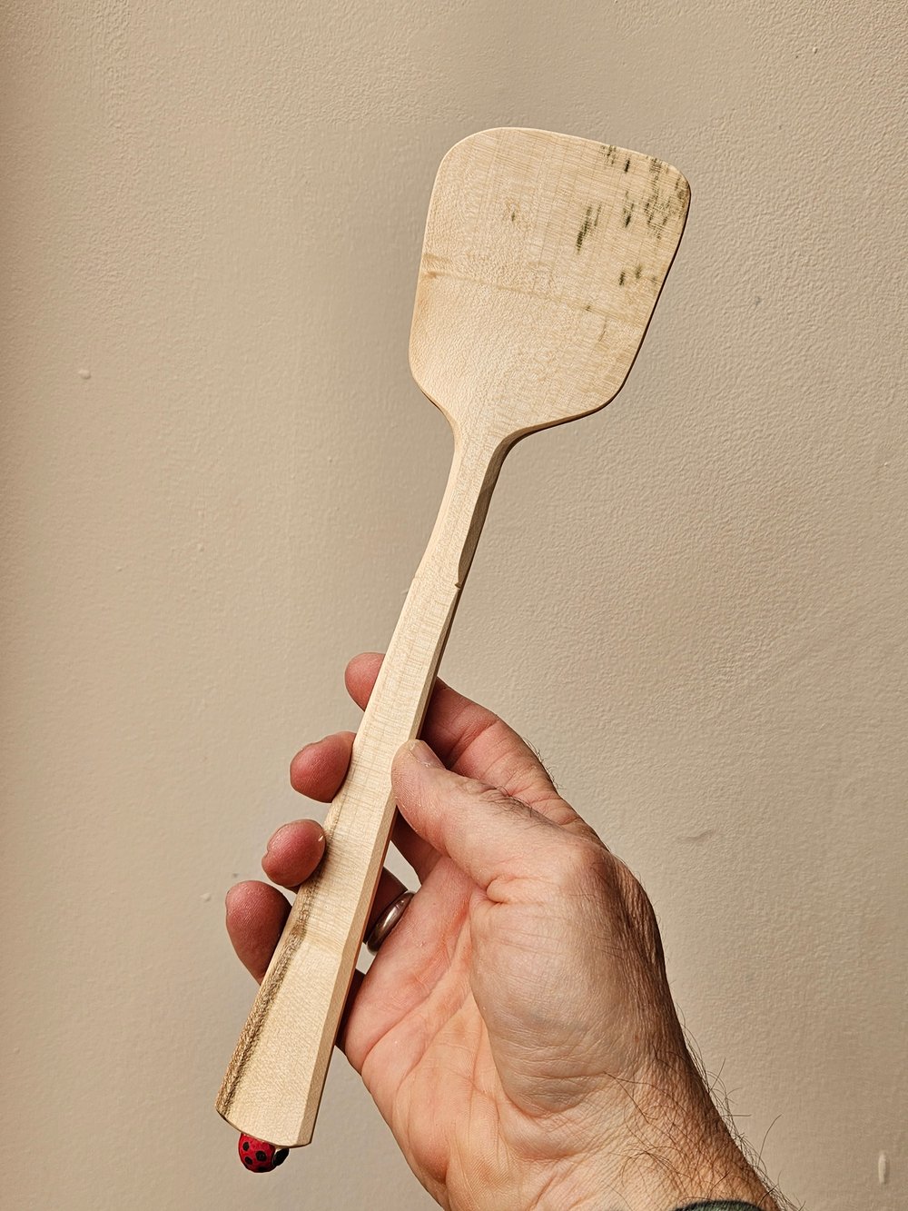 Image of Sycamore Lady Beetle Spatula