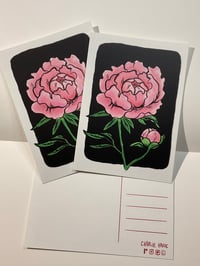 Image 2 of Peony Study print