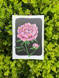 Image 4 of Peony Study print