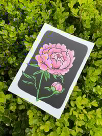 Image 1 of Peony Study print