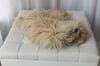 sheepskin luneberry