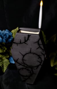 Image 3 of Coffin Wall Planter