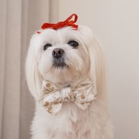 Image 2 of EMBROIDERED BOW