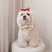 Image 1 of EMBROIDERED BOW