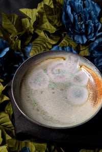 Image 1 of Petri Pond Bowl