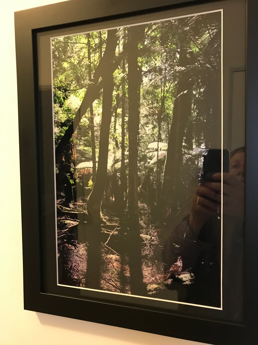 Image of Takayna Forest