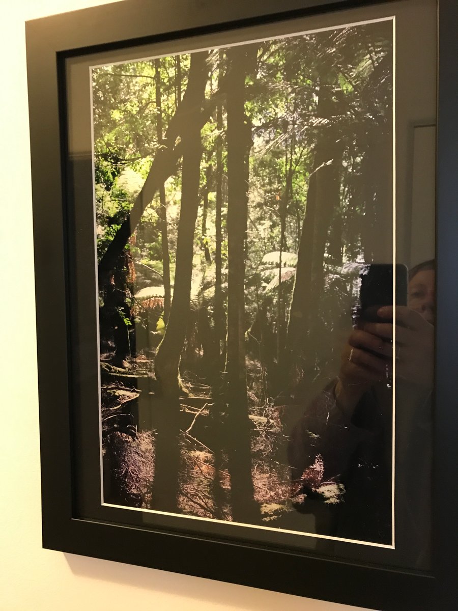 Image of Takayna Forest