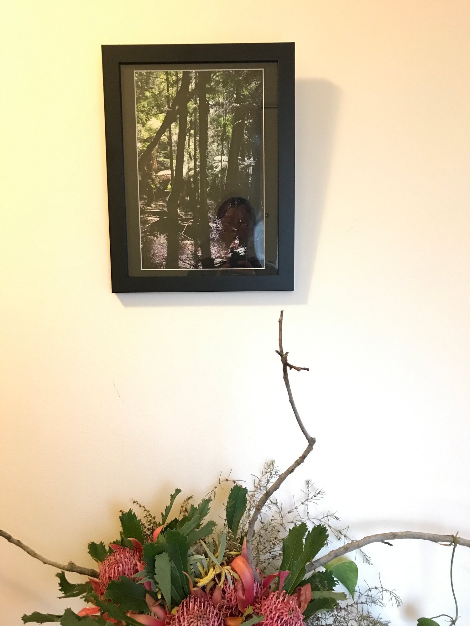 Image of Takayna Forest