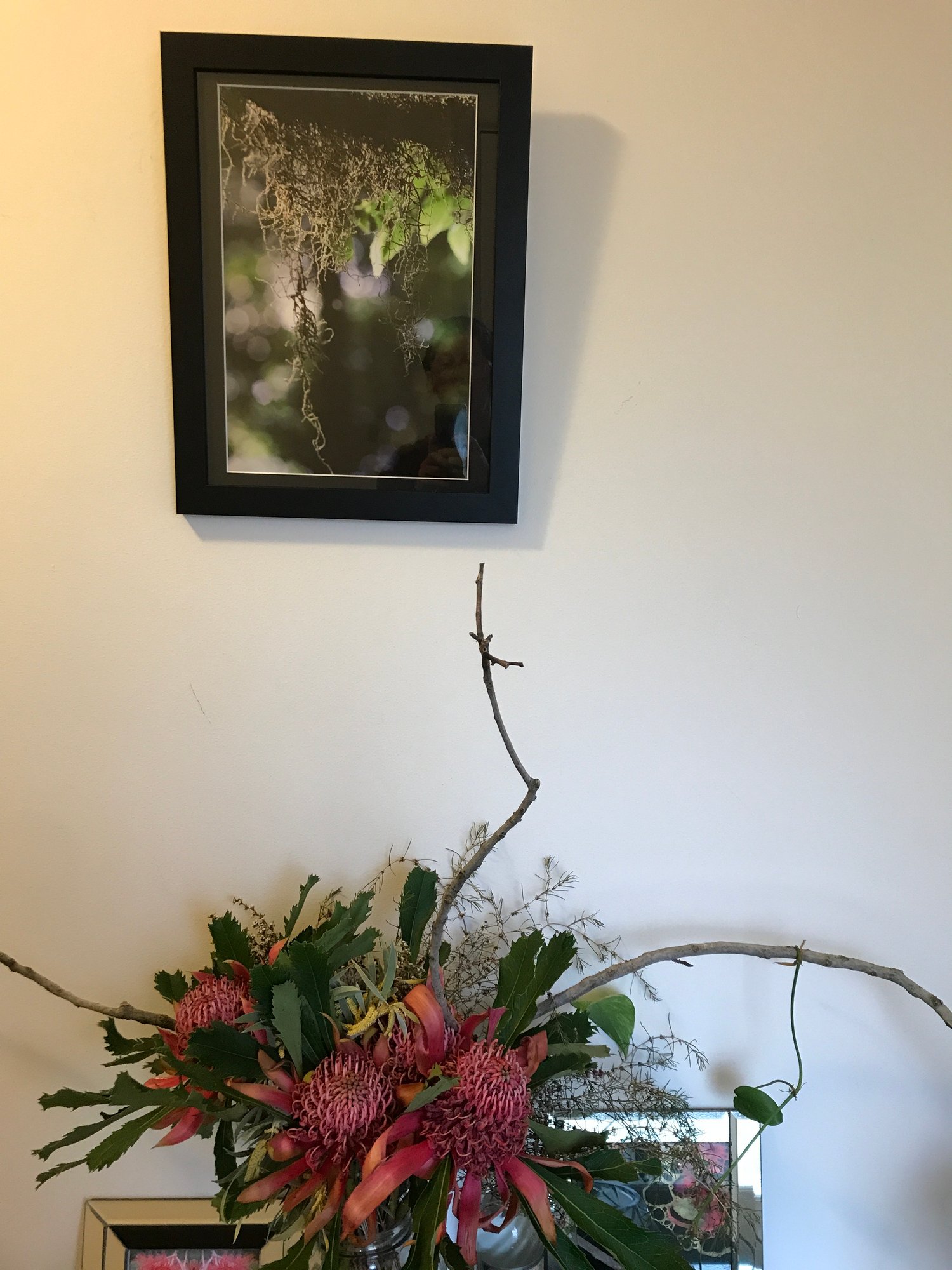 Image of Takayna Moss