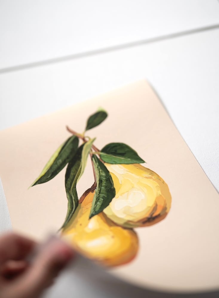 Image of Williams Pears Giclée Print