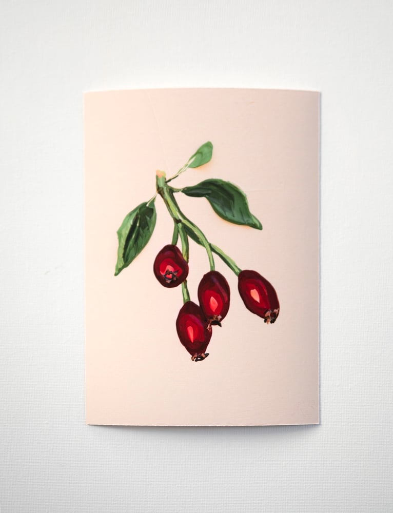 Image of Red Rose Hips Giclée Print
