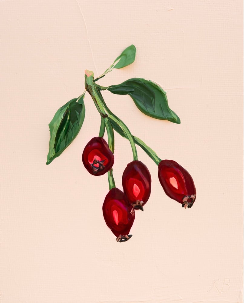 Image of Red Rose Hips Giclée Print
