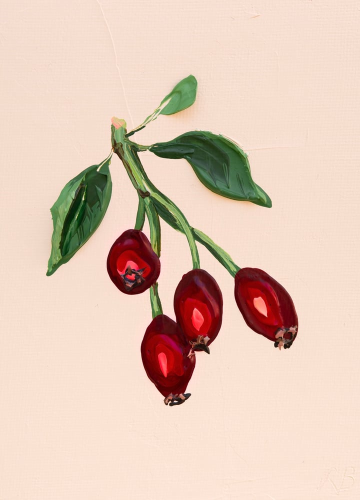 Image of Red Rose Hips Giclée Print