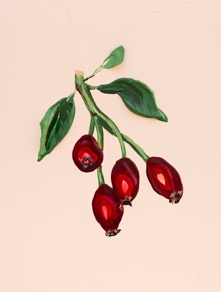 Image of Red Rose Hips Giclée Print